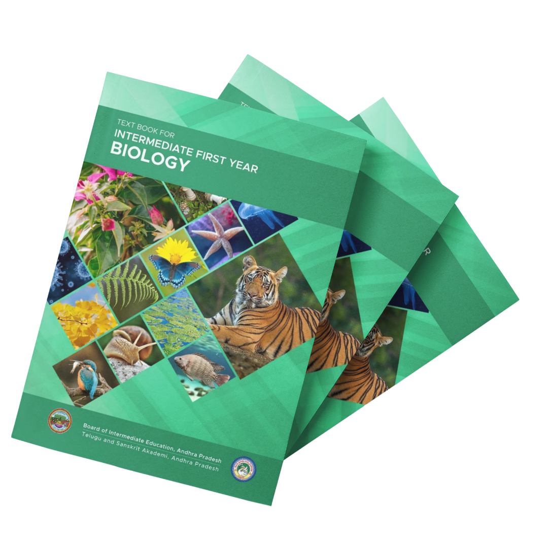 Intermediate First Year Biology - Image 3