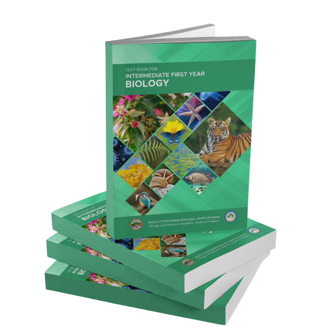 Intermediate First Year Biology - Image 2