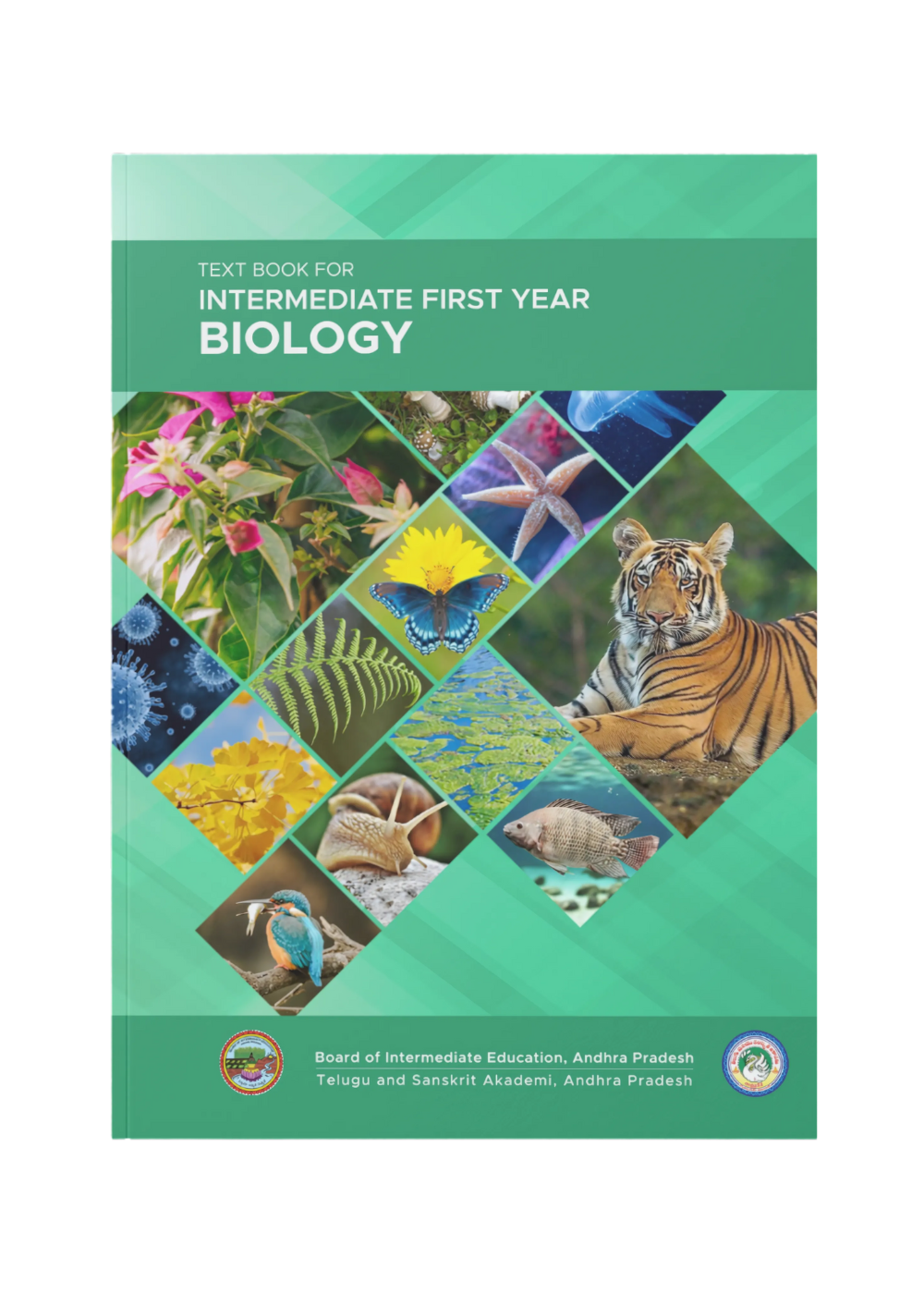 Intermediate First Year Biology