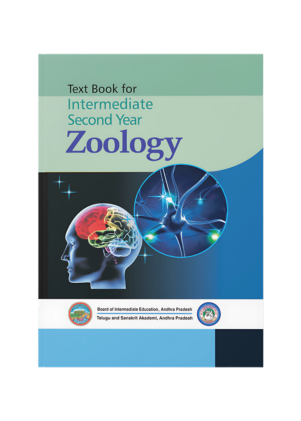 Intermediate Second Year Zoology