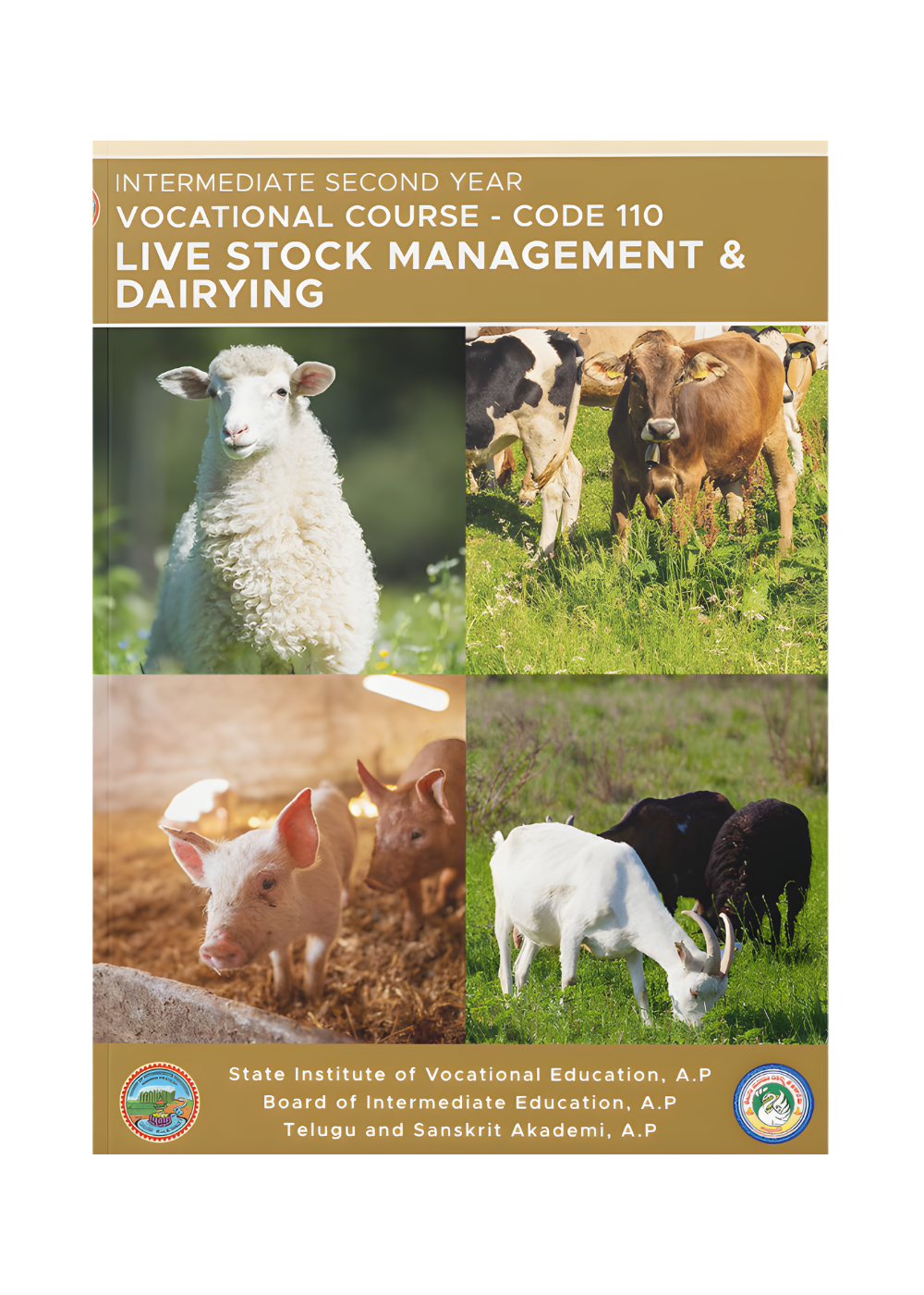 Livestock Management and Dairying – II